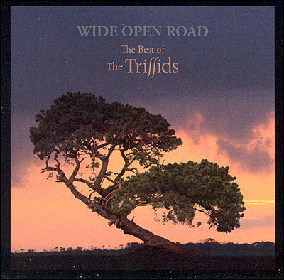Wide Open Road: Best of - Triffids - Musik - DOMINO - 5034202207221 - 18. marts 2019