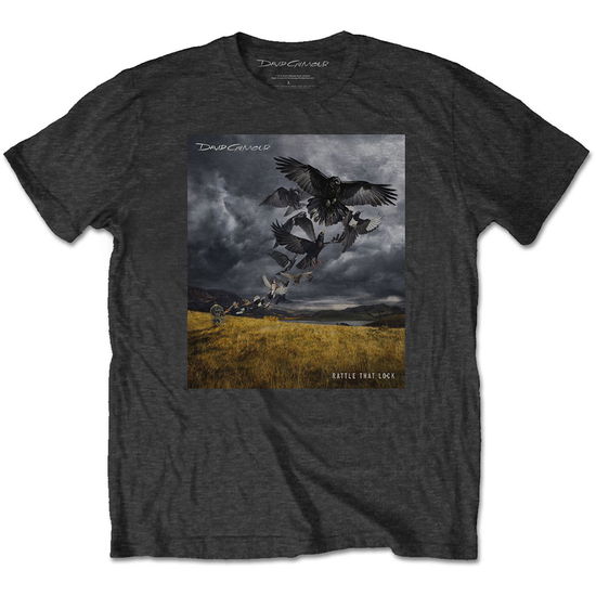 Cover for David Gilmour · David Gilmour Unisex T-Shirt: Rattle That Lock (T-shirt) [size S] [Grey - Unisex edition] (2019)