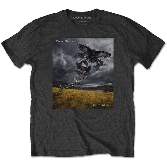 Cover for David Gilmour · David Gilmour Unisex T-Shirt: Rattle That Lock (T-shirt) [size S] [Grey - Unisex edition]