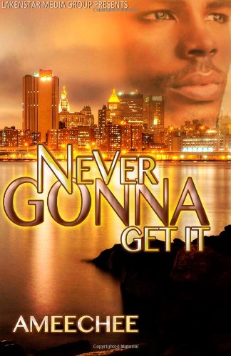 Cover for Ameechee · Never Gonna Get It (Paperback Book) (2013)