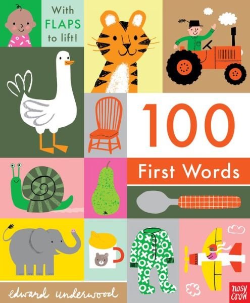 Cover for Nosy Crow · 100 First Words (Kartonbuch) (2019)