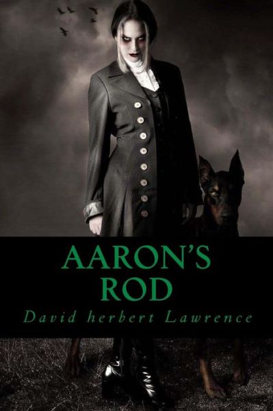 Cover for David Herbert Lawrence · Aaron s Rod (Paperback Book) (2016)