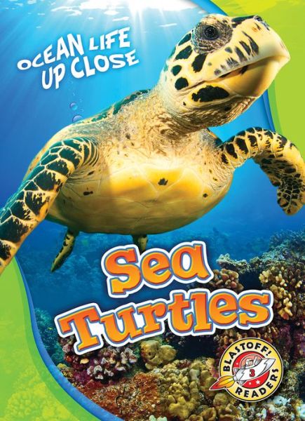 Cover for Kari Schuetz · Sea Turtles - Ocean Life Up Close (Hardcover Book) (2020)