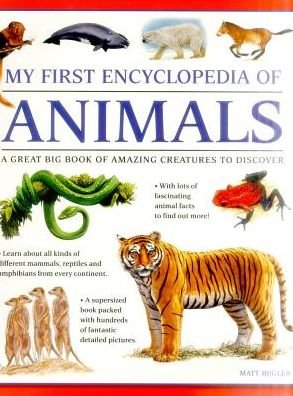 Cover for Bugler Matt · My First Encyclopedia of Animals (giant Size) (Paperback Bog) (2016)