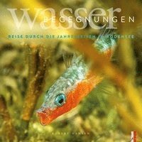Cover for Hansen · Wasser Begegnungen (N/A)