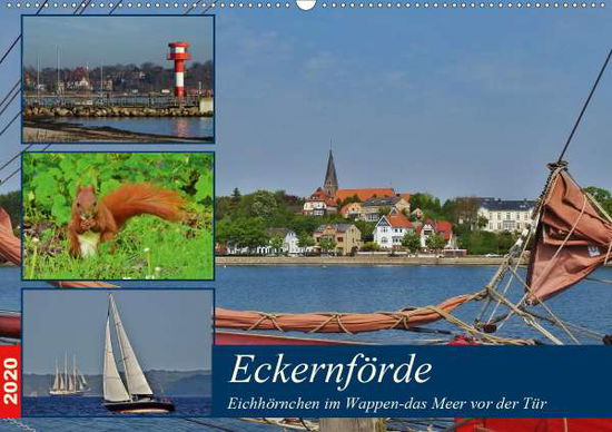 Cover for Schaack · Eckernförde. Eichhörnchen im Wa (Bok)