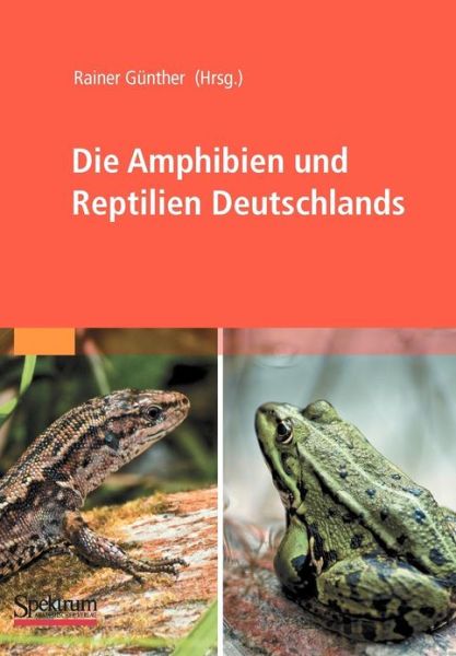 Cover for Rainer Gunther · Die Amphibien Und Reptilien Deutschlands (Paperback Book) (2009)