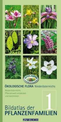 Ökologische Flora Niederöster.1 - Holzner - Książki -  - 9783840475221 - 