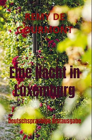 Cover for Remy De Gourmont · Eine Nacht in Luxemburg (Gebundenes Buch) (2022)