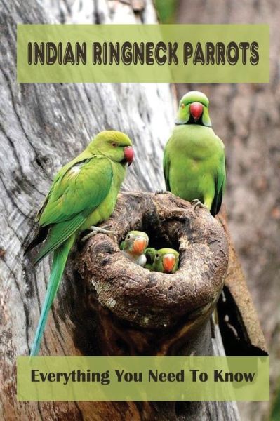 Cover for Darcey Seevers · Indian Ringneck Parrots (Paperback Book) (2021)