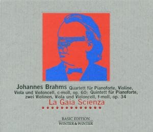Cover for Johannes Brahms · Quartett &amp; Quintett (CD) (2001)