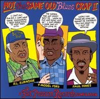 Not the Same Old Blues Crap II - Not the Same Old Blues Crap 2 / Various - Musik - BLUES - 0045778034222 - 3 augusti 2005