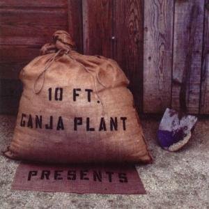 Presents - 10 Ft. Ganja Plant - Musik - ROIR - 0053436830222 - 11. juni 2007