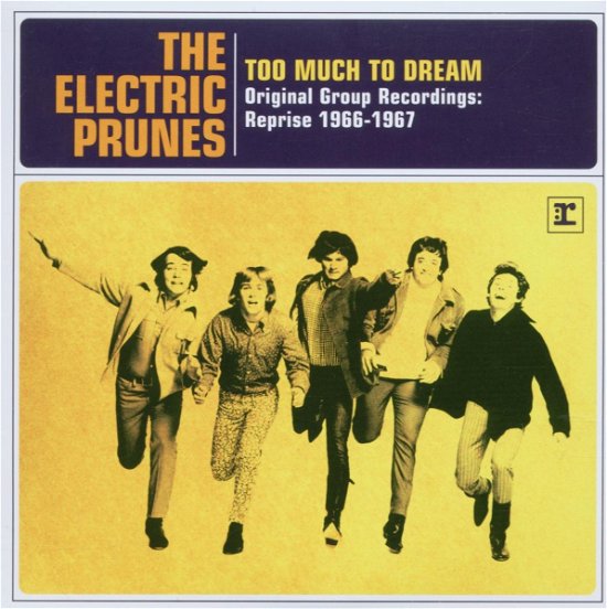 Cover for Electric Prunes · Too Much to Dream: the Original Group Recordings (CD) (2007)