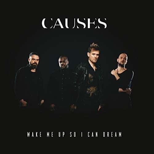 Wake Me Up So I Can Dream - Causes - Music - SONY MUSIC - 0190758767222 - December 14, 2018