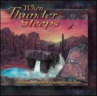 When Thunder Sleeps - Various Artists - Music - SPOTTED PECCARY - 0600028910222 - April 21, 2014