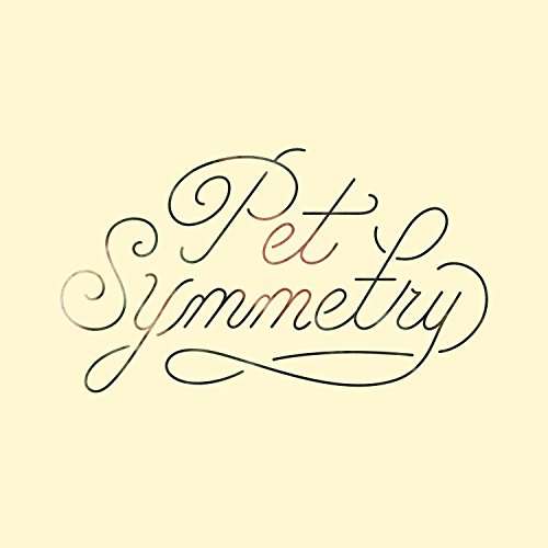 Cover for Pet Symmetry · Vision (CD) (2017)