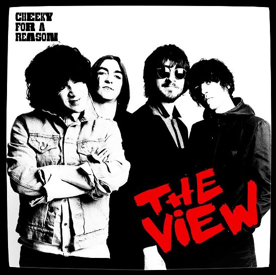 Cover for View · Cheeky for a Reason (CD) (2012)