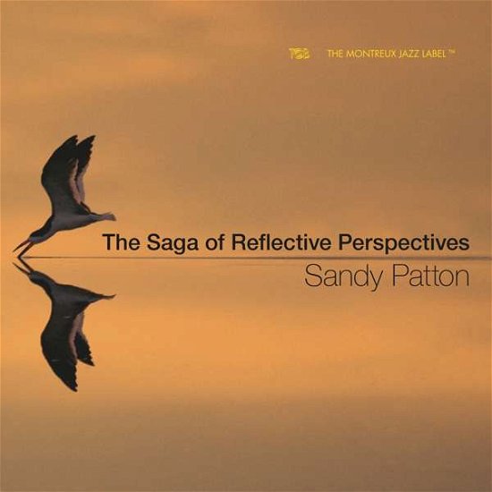 Cover for Saga of Reflective Perspectives / Various (CD) (2018)