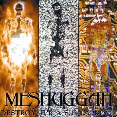 Cover for Meshuggah · Destroy Erase Improve (CD) (2008)