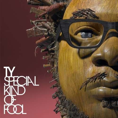 Cover for Ty · Special Kind of Fool (CD) [Digipak] (2010)