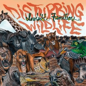 Cover for Invisible Familiars · Disturbing Wildlife (CD) (2015)