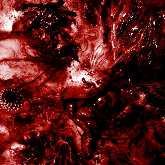 Cover for Excrescence · Inescapable Anatomical Deterioration (CD) (2023)