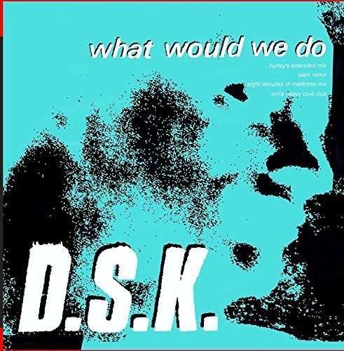 Cover for Dsk · What Would We Do (junior Boy's Own Mixes) (CD) (2015)