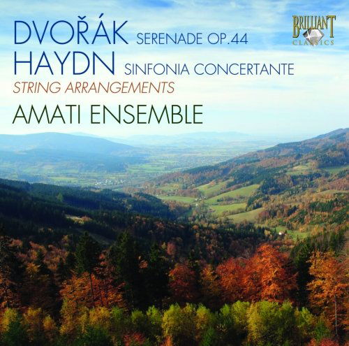 Serenade Arranged For Strings - Dvorak / Haydn - Musik - Brilliant Classics - 5029365914222 - 1. Oktober 2009