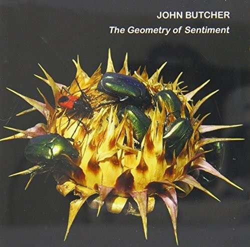 Geometry Of Sentiment - John Butcher - Muzyka - EMANEM - 5030243414222 - 4 października 2013