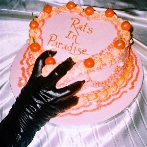 Cover for Emily Breeze · Rats in Paradise (CD) (2025)