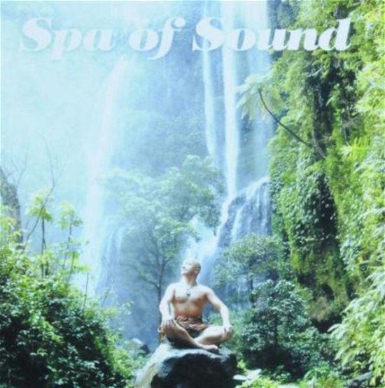 Cover for Almer Jansu · Spa Of Sound (CD) (2013)