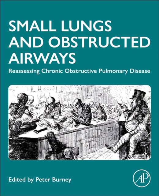 Small Lungs and Obstructed Airways: Reassessing Chronic Obstructive Pulmonary Disease (Pocketbok) (2024)