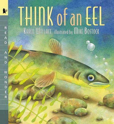 Think of an Eel: Read and Wonder - Read and Wonder - Karen Wallace - Bøger - Candlewick Press - 9780763615222 - 1. april 2001