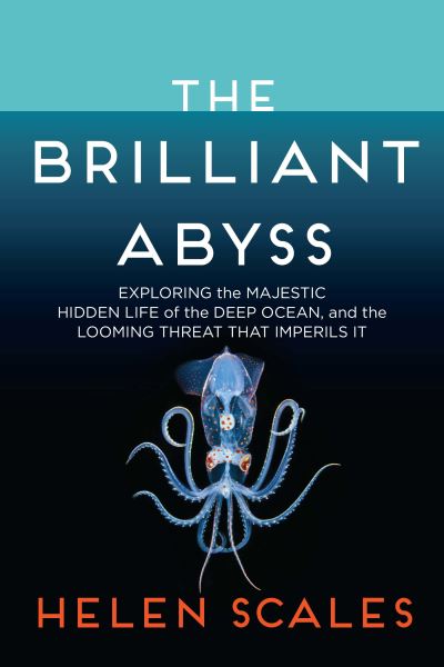 The Brilliant Abyss - Helen Scales - Książki - Atlantic Monthly Press - 9780802158222 - 6 lipca 2021