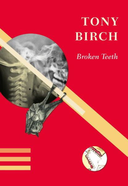 Cover for Tony Birch · Broken Teeth (Taschenbuch) (2016)