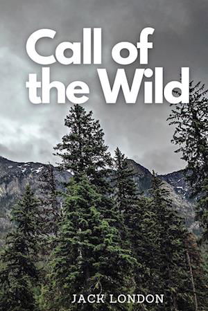 Cover for Jack London · Call of the Wild (Bok) (2022)