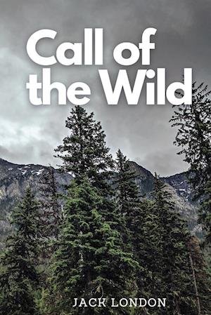 Cover for Jack London · Call of the Wild (Buch) (2022)