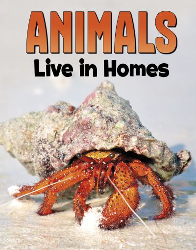 Cover for Nadia Ali · Animals Live in Homes - Animal Societies (Hardcover Book) (2023)