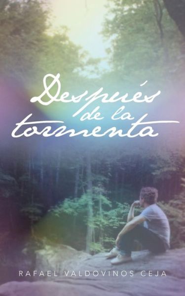 Cover for Rafael Valdovinos Ceja · Despues De La Tormenta (Pocketbok) (2013)