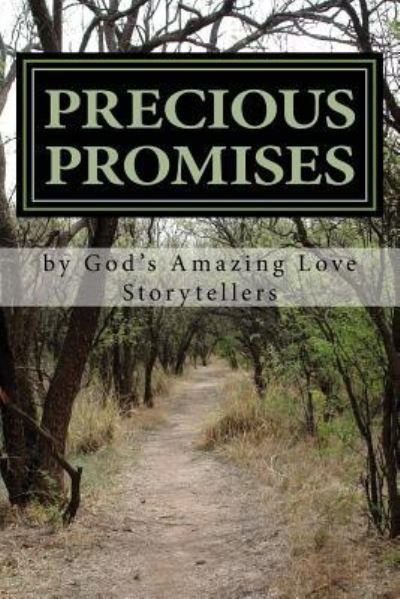 Cover for God's Amazing Love Storytellers · Precious Promises (Paperback Book) (2017)