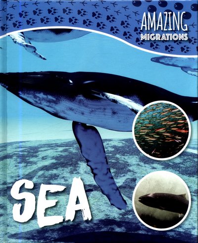 Cover for Harriet Brundle · Sea - Amazing Migrations (Gebundenes Buch) (2017)