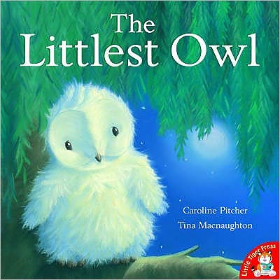 Cover for Caroline Pitcher · The Littlest Owl (Paperback Book) (2009)