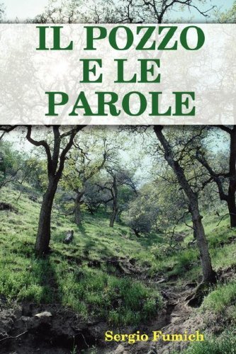 Cover for Sergio Fumich · Il Pozzo E Le Parole (Pocketbok) [Spanish edition] (2007)