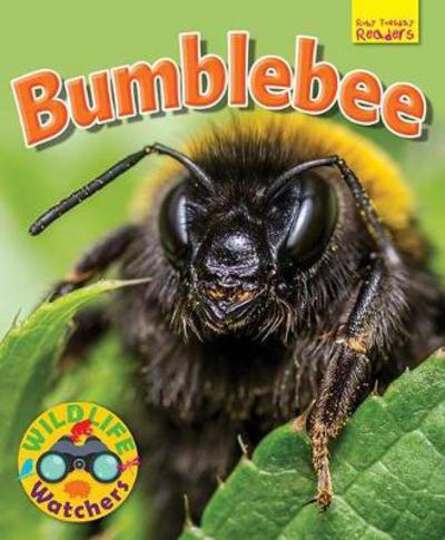 Cover for Ruth Owen · Wildlife Watchers: Bumblebee - Ruby Tuesday Readers (Paperback Book) (2017)