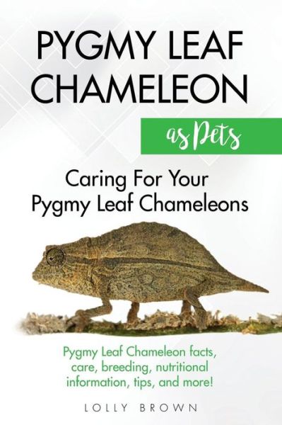 Cover for Lolly Brown · Pygmy Leaf Chameleons as Pets (Paperback Book) (2017)