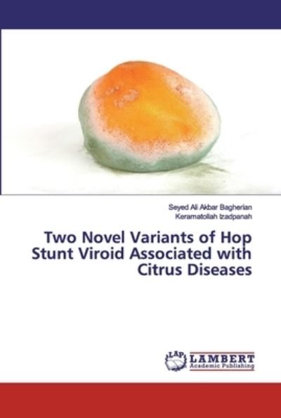 Cover for Bagherian · Two Novel Variants of Hop Stu (Book) (2020)