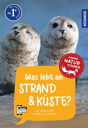 Was lebt an Strand und Küste? Kindernaturführer - Holger Haag - Books - Kosmos - 9783440179222 - February 19, 2024