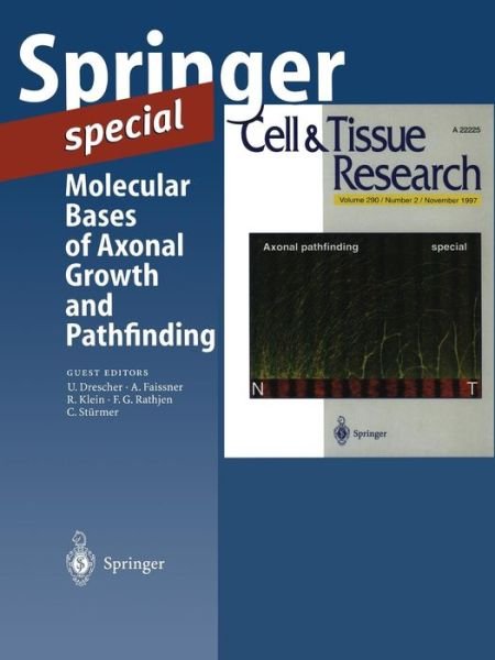 Molecular Bases of Axonal Growth and Pathfinding - Drescher - Livres - Springer-Verlag Berlin and Heidelberg Gm - 9783540635222 - 8 octobre 1997
