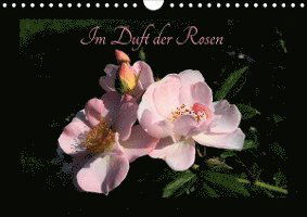 Cover for Saal · Im Duft der Rosen (Wandkalender 20 (Book)